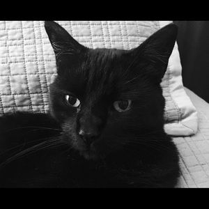 Meet your Posher, Gabriel